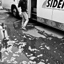 Guest Article: Milano-Sanremo 2011 Everything is thoroughly cleaned