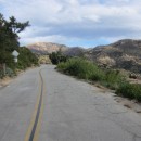 California Cogal IMG_1091