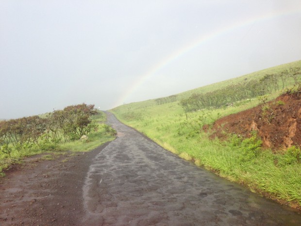 East Maui Pavé