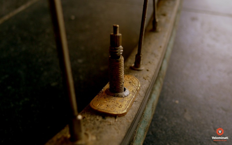 The Golden Tickets with Flemish mud (cow shit) 